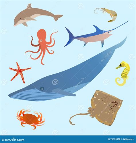 Cute Ocean Animals Cartoon Vector | CartoonDealer.com #101260641