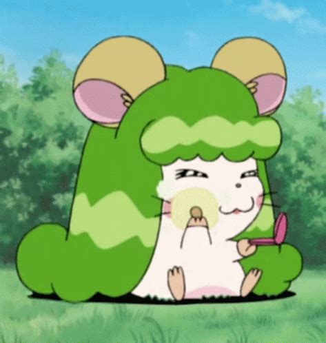 Hamtaro Hamster Hamtaro Hamster Otome Discover Share Gifs