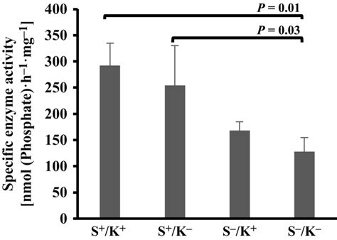 Biochemical Characterisation Of Recombinant Fulllength Bip And Variant