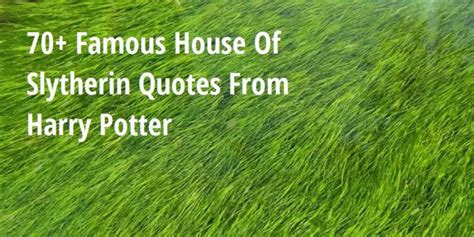 The Best Famous House Of Slytherin Quotes From Harry Potter - Big Hive Mind