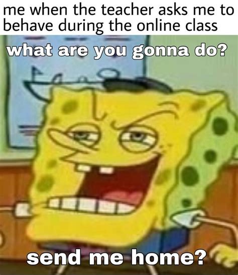 Online Classes | Funny spongebob memes, Crazy funny memes, Funny school ...