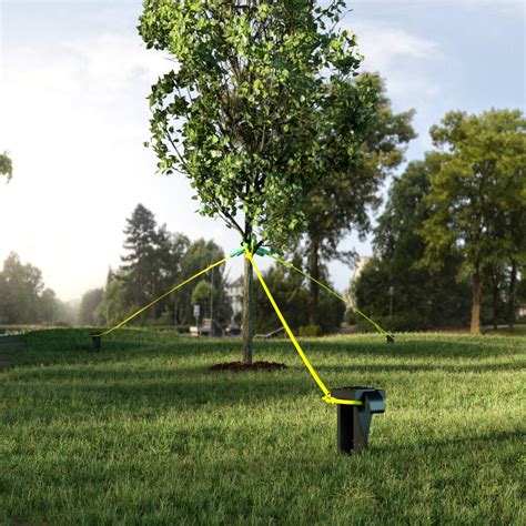 Panacea Tree Stake Support Kit Includes Stakes Sleeves And Rope