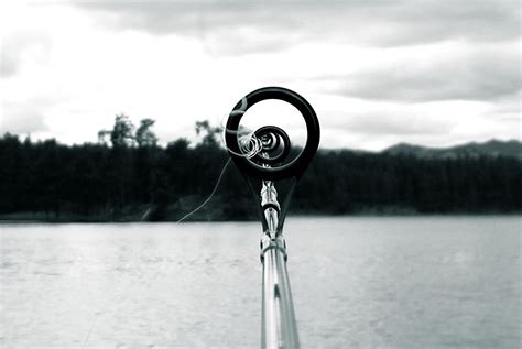 Fishing Pole Lake Black - Free photo on Pixabay - Pixabay