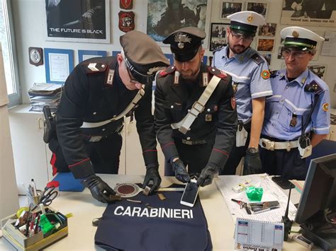 Con L Aiuto Del Cane Antidroga I Carabinieri Scovano Mini Market Dello