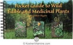 Motherlove Pocket Guide To Wild Edible And Medicinal Plants By Kathryn