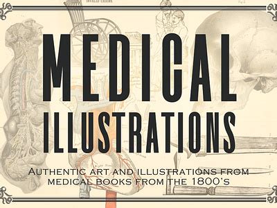 100 Vintage Medical Illustrations by James Dene on Dribbble