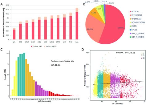 The Number Distribution And Gc Content Of Snp And Indel A The Snp