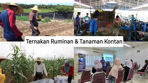 Program Latihan Kemahiran And Kerjaya Plkk Selamat Datang Ke Laman