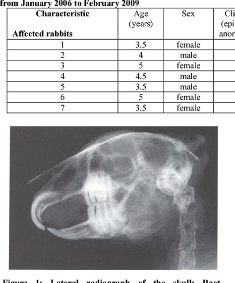 Pdf Prevalence Of Dental Malocclusion And Root Elongation In Pet