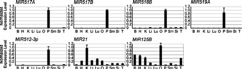 Tissue Distribution Of Human Placenta Specific Mirnas The Expression