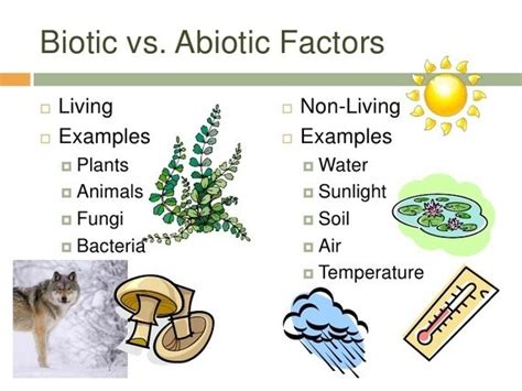 Diagram Of Abiotic Biotic Features Quizlet