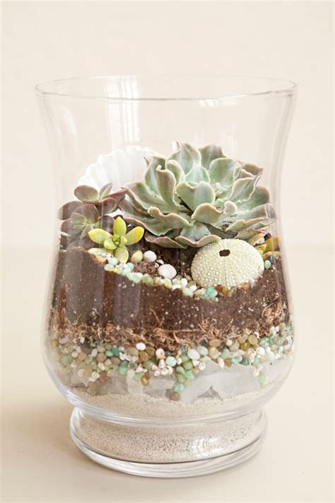 Learn How To Make Terrariums For Your Wedding Terrarium Diy