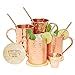 Amazon Advanced Mixology Gift Set Moscow Mule Mugs 100 Pure