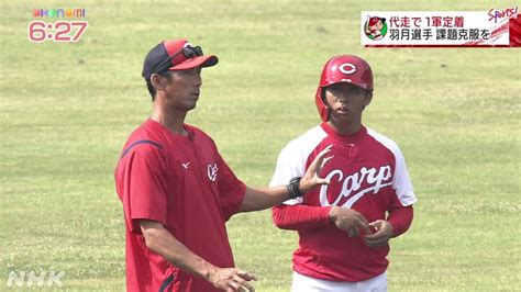 カープ羽月隆太郎選手 足のスペシャリストからレギュラーへ Nhk