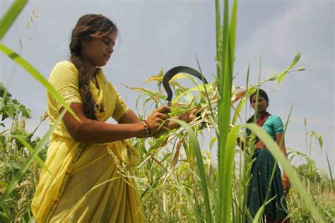 Womens Empowerment In Agriculture Index 101 Cgiar Gender Impact Platform