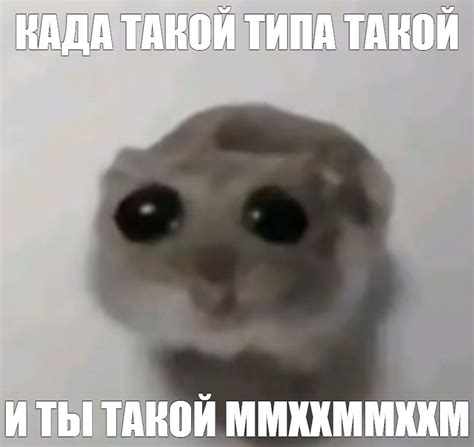 Meme КАДА ТАКОЙ ТИПА ТАКОЙ И ТЫ ТАКОЙ ММХХММХХМ All Templates