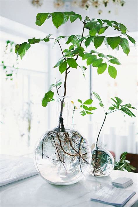 15 DIY Indoor Water Garden Ideas | HomeMydesign