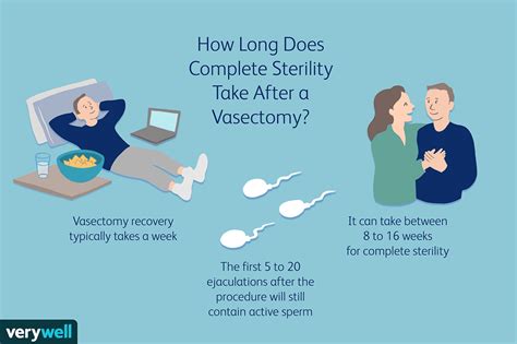 Vasectomy: Long-Term Care