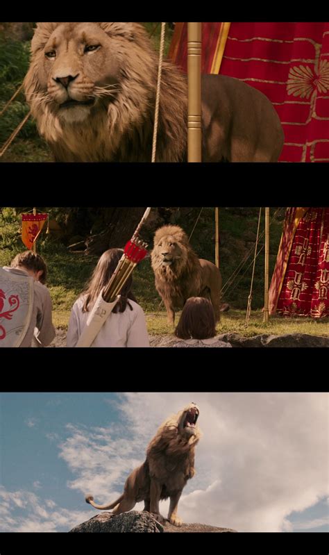 Narnia Aslan by Mdwyer5 on DeviantArt