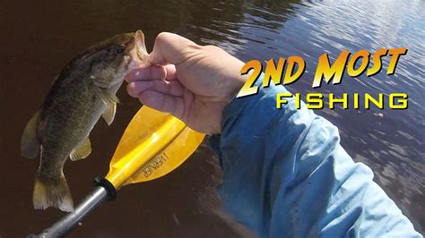 Smallmouth Fishing And Paddling On The Black River YouTube