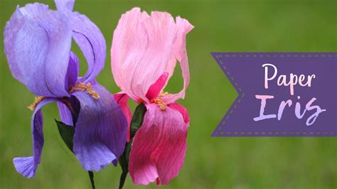 How To Make A Crepe Paper Irises By Sarah Johnson Paper Flowers