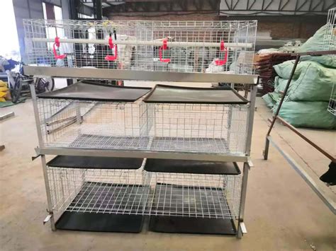 Design Modern Broiler Cage For Sale H Type Automatic Battery Broiler