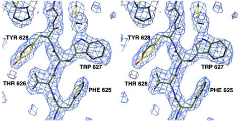 2fo − Fc Stereo Electron Density Map At 24 Å Resolution Contoured At