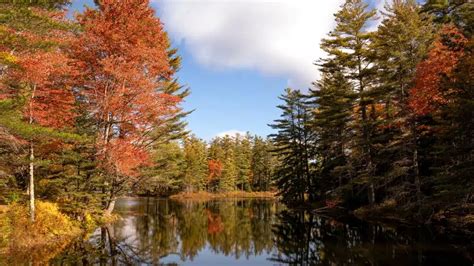 10 Best State Parks in Vermont - NewHomeSource