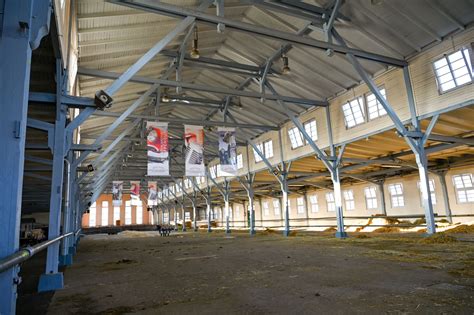 Schließung der Münsterlandhalle stellt Tierzüchter vor große Probleme