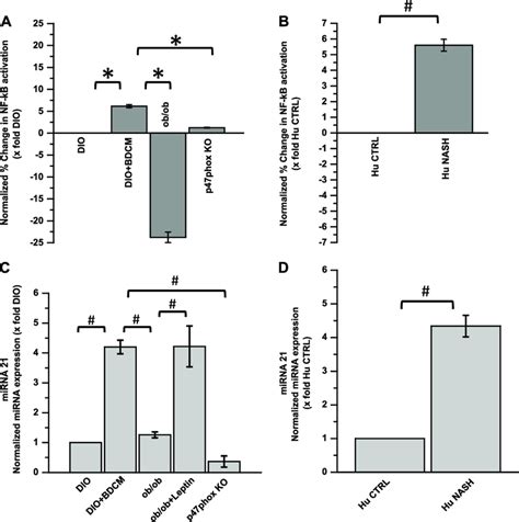 Leptin Induced NADPH Oxidase Activation Mediates NF B Activation And