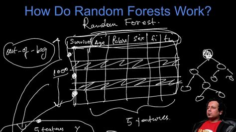 How Do Random Forests Work Youtube