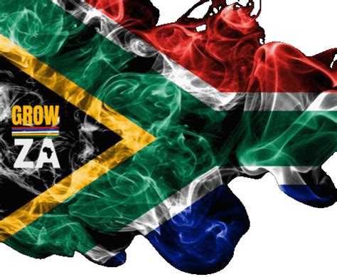 South Africa Flag GIF by GrowZA - Find & Share on GIPHY