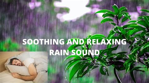 Relaxing Rain Sound Drop For Stress Relief Deep Sleep Focus Calming