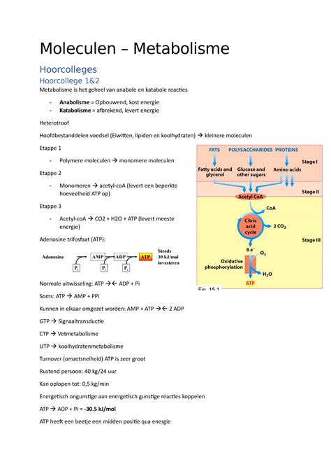 Metabolisme Moleculen Metabolisme Hoorcolleges Hoorcollege