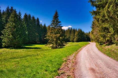 7,400+ Thuringian Forest Photos Stock Photos, Pictures & Royalty-Free ...