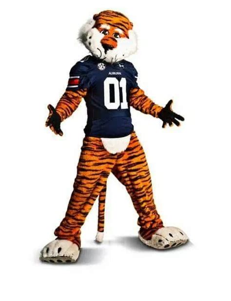 Aubie: Easy to love | Auburn tigers football, Mascot, Auburn football