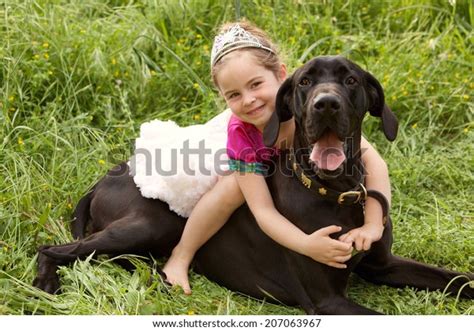 Beautiful Girl Child Her Labrador Pet Stock Photo 207063967 | Shutterstock