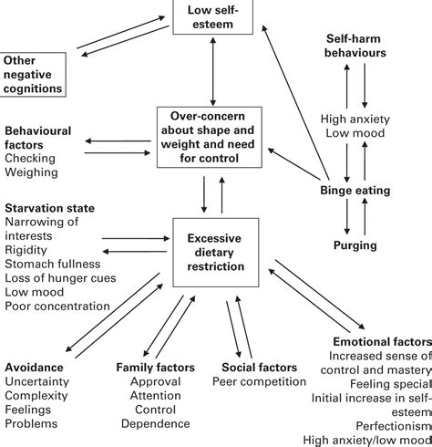 Eating Disorders Chapter 14 Cognitive Behaviour Therapy For