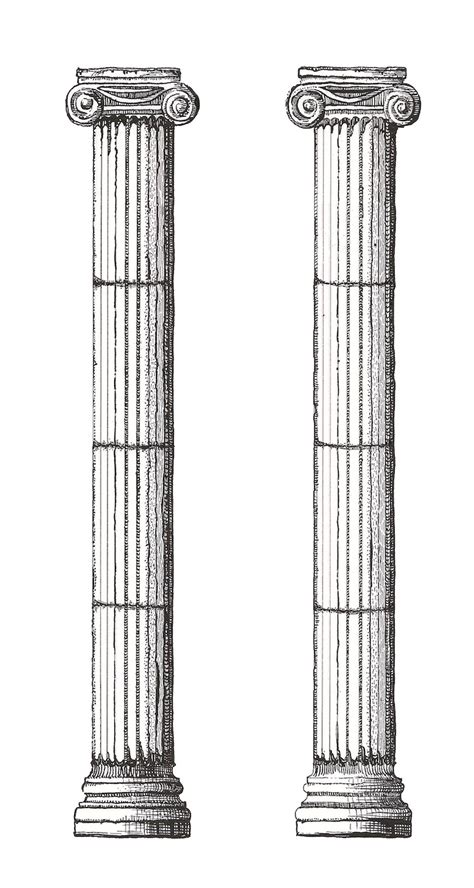 Study Of Ionic Columns By Missy Dunaway Portland Art Gallery