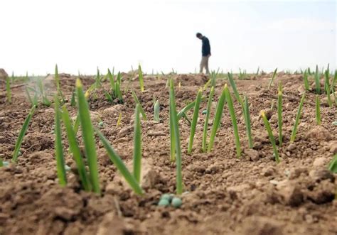 Agricultura Resuelve Las Ayudas Agroambientales De La Pac Por Valor De