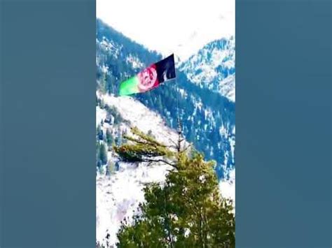 بیرق سه رنگ افغانستان عزیزمان | پرچم افغانستان | Afghanistan flag #shorts #afghanistan #kabul ...