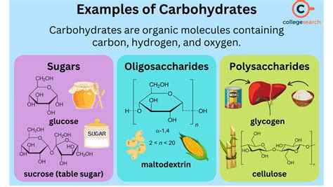 Sources Of Carbohydrates Definitions Examples Functions Top 10