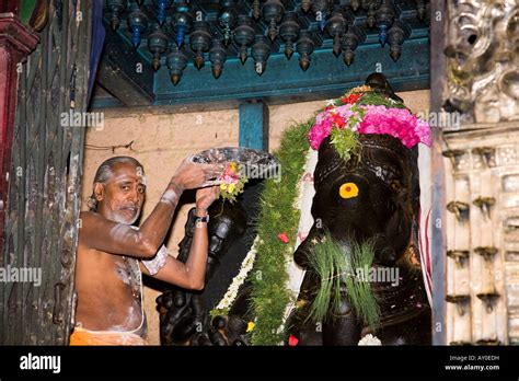 Brahmin Rituals High Resolution Stock Photography and Images - Alamy