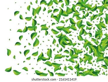 Swamp Greens Flying Vector White Background Stock Vector Royalty Free