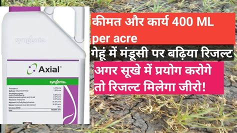 Syngenta Axial Herbicide Remove Mandusi Or Gulli Danda From Wheat