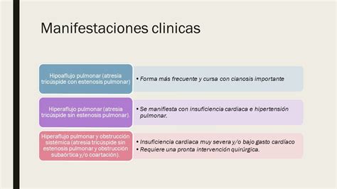 Atresia Tricuspidea Y Atresia Pulmonar Atresia Tricuspidea Agenesia