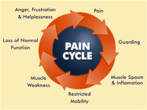 Pain Cycle Diagram