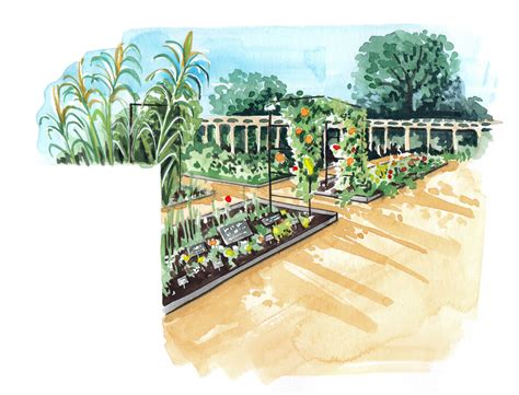 Summer Illustrations For Royal Botanic Gardens At Kew Magazine Willa