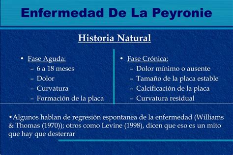 Ppt Revisión Bibliográfica Dr Fernando Osorio Prof Dr Luis García