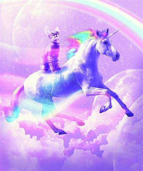 Kitty Cat Riding On Flying Unicorn With Rainbow Digital Art By Random Galaxy Pixels